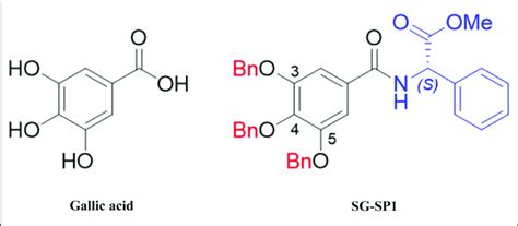 Chemical Structures Of Gallic Acid And Sg Sp1 Bn Benzoyl Ether Download Scientific Diagram