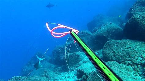 Spearfishing Hawaii Many Dives Youtube