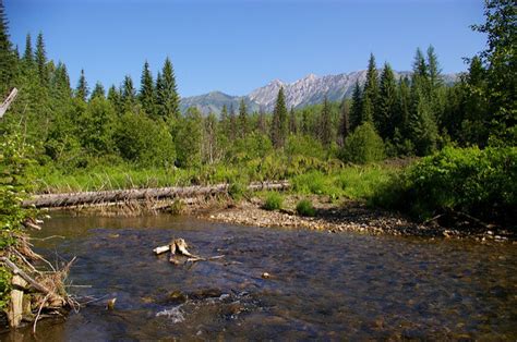 Elk Valley Ultra - Fernie , BC 07/24/21