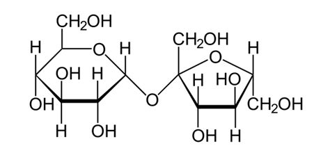 Difference Between Monosaccharides Disaccharides and Polysaccharides | Definition, Properties ...