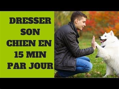 Dresser Son Chien En 15 Min Par Jour LIVRE COMPLET YouTube