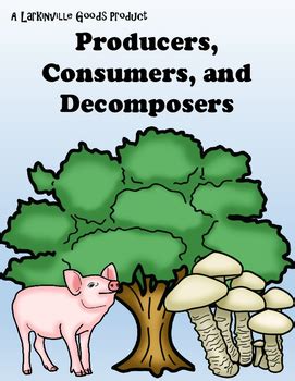 Consumer, Producer, Decomposer by Larkinville Goods | TPT