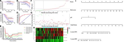 Frontiers Identification Of Lncrnas Associated With Folfox