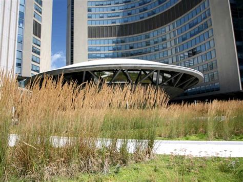 Nathan Phillips Square Toronto City Hall Podium Green Roof