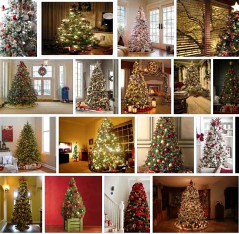 Menards Christmas Trees - Cheapest Christmas Trees **2021 | Tree Types