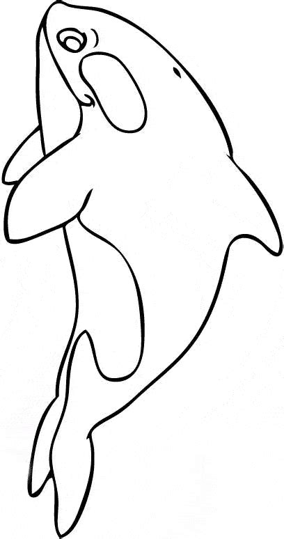 Killer Whale Orca Coloring Page Animals Town Animals Color Sheet