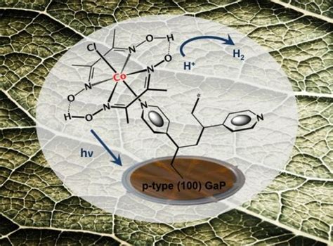 Researchers at Berkeley Laboratory are developing a bionic leaf - Planet Custodian