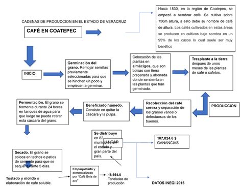 436699778 Diagrama De Flujo Del Cafe CADENAS DE PRODUCCION EN EL