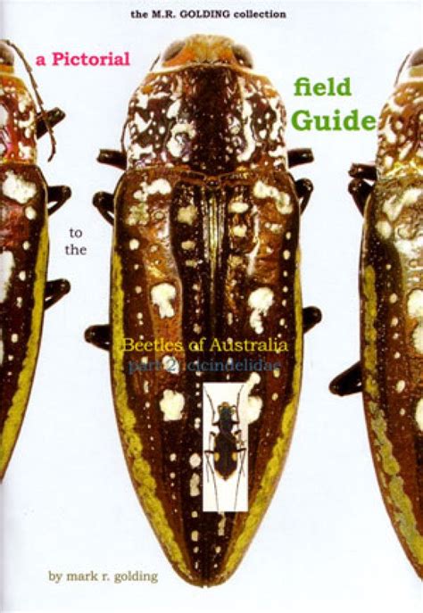 A Pictorial Field Guide To The Beetles Of Australia Part