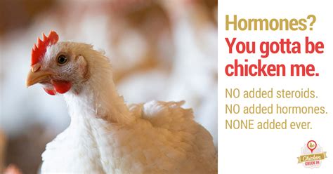 Get The Facts The Truth About Hormones And Steroids In Chicken