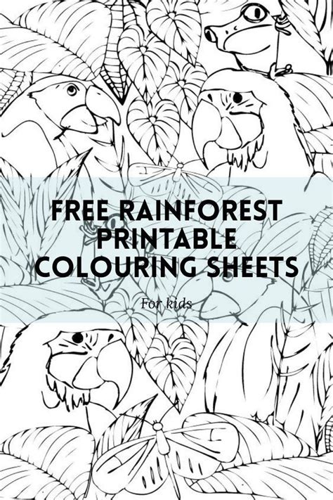 Free Rainforest Printable Colouring Sheets Printable Coloring Sheets