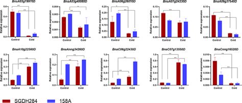 Differential Expression Of Ten Transcription Factors In Response Of