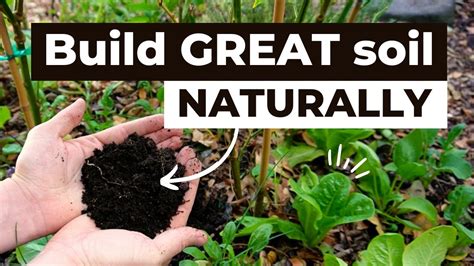 How To Build Great Soil Naturally Using Home Made Compost And Layered