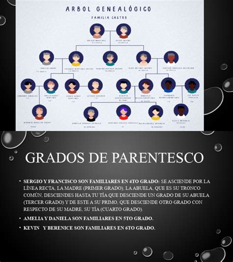 Arbol Genealogico Pdf