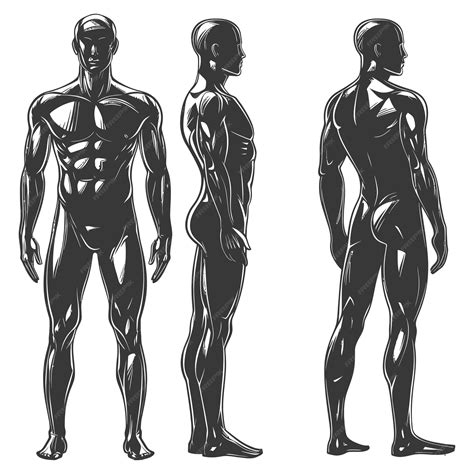 Premium Vector Black And White Illustration Of A Muscular Man From