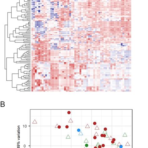 Heatmap Showing The Expression Levels Of The 99 Expressed Mirnas In All Download Scientific