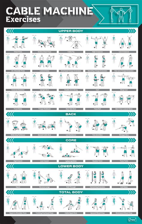 Cable machine workout poster in 2020 – Artofit