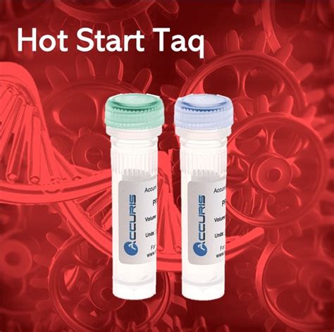 OneTaq Hot Start Quick Load 2X Mix PCR