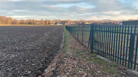 Dzia Ka Pisarzowice Ul Czernichowska Bez Po Rednika M