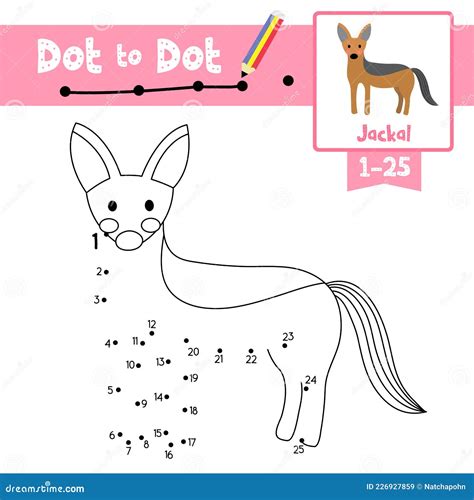 Dot To Dot Educational Game And Coloring Book Jackal Animal Cartoon