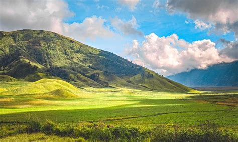 Bukit Teletubbies Bromo Destinasi Wisata Alam Hits Bernuansa New