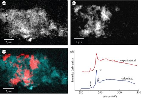 Stxm Images And Carbon K Edge Spectra Of An A Iron Aggregate Formed