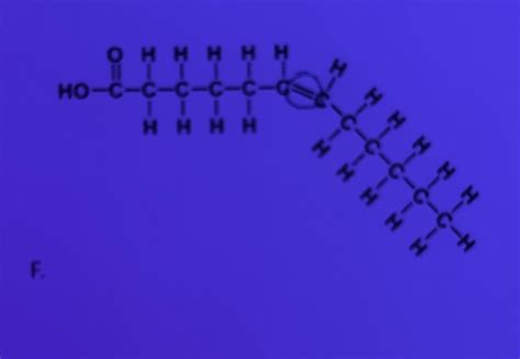 Solved F.What type of molecule is this | Chegg.com