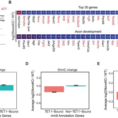 Nono Deletion Leads To Downregulation Of Neuronal Differentiation