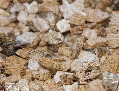 New Tool Determines If Vermiculite Insulation Contains Asbestos