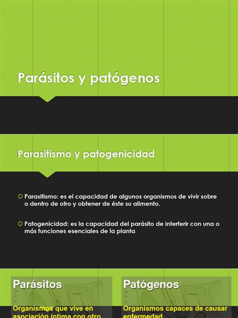 Parásitos Y Patógenos Clase 3 2023 1°parte Pdf Patologia De Planta Parasitismo