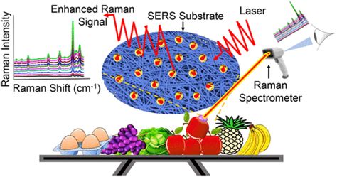 Surface Enhanced Raman Spectroscopy Substrates For Food Safety And Quality Analysis Journal Of