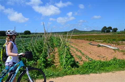 Why Eric Loves Self Guided Biking VBT Bicycling Vacations