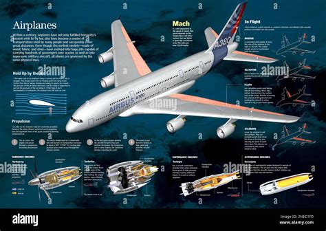 Infograf A De La Estructura De Un Avi N Airbus A Su Sistema De