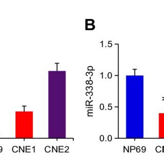 LncRNA F A And M Levels A LncRNA F A Relative Level In NNP Cells And