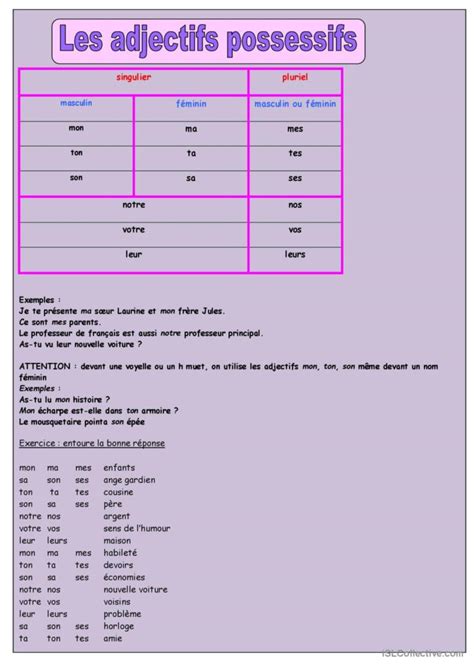 Les Adjectifs Possessifs Guide D Fran Ais Fle Fiches Pedagogiques Pdf