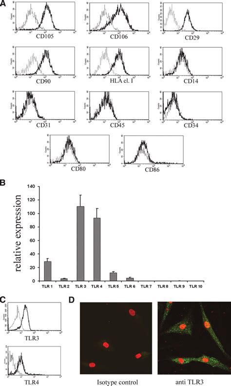 Immunophenotype And Tlr Expression Of Bone Marrow Bm Derived Download Scientific Diagram