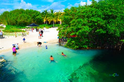 Supera Tus Propios L Mites En El Triatl N Riviera Maya Hacienda Tres