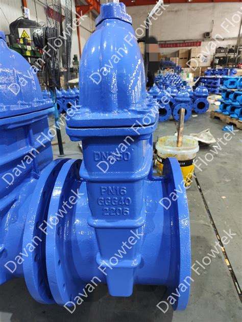 China Dn350 Ductile Iron Ggg40 Rubber Wedge Resilient Seat Gear