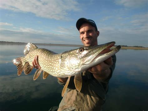 Trouvez les meilleurs spots pour pêcher le brochet