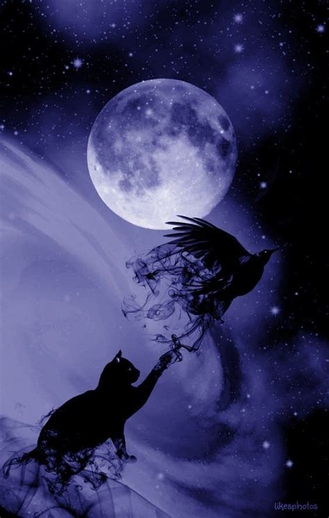 Pin by Deea on Dream- Animals | Black cat art, Moon art, Cat art