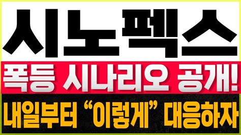 시노펙스 주가전망 🚨필수시청🚨폭등 시나리오 공개🔥🔥내일부터 이렇게 대응합시다 신선생 Youtube