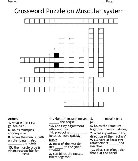 Crossword Puzzle On Muscular System Wordmint