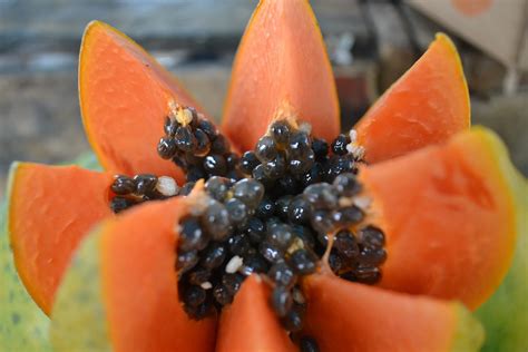 Las Semillas De Papayas Y Sus Beneficios Para La Salud Remedios