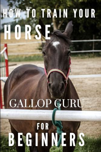 How To Train Your Horse For Beginners A Comprehensive Guide To