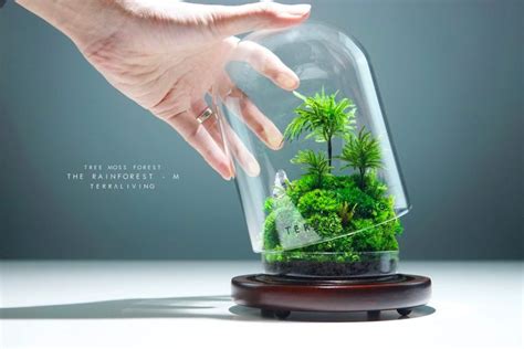 Mini Rainforest Terrarium | Interior Design Ideas