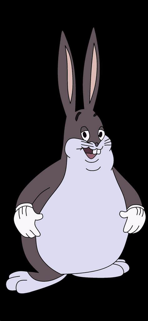 Big Chungus Wallpapers Top Free Big Chungus Backgrounds Wallpaperaccess