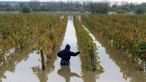 Fotochronik Hochwasser Am Rhein Extras Wetter Wdr