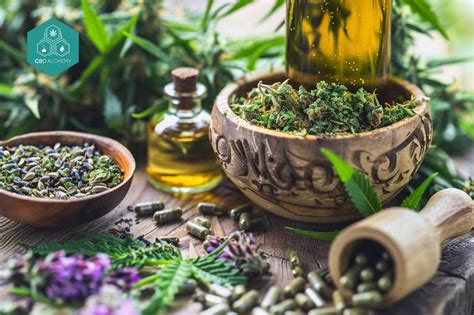 Esplorare I Terpeni Nei Fiori Di CBD Benefici E Utilizzi CBD Alchemy