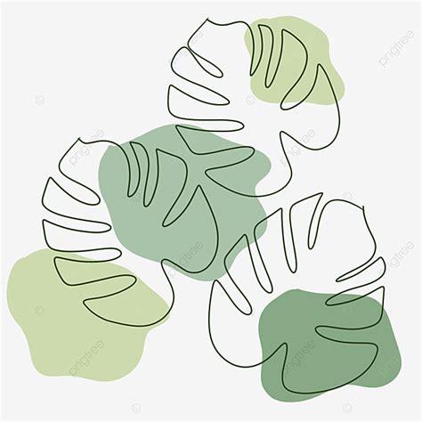 Leaf Lineart Png Image Three Monstera Leaf Lineart Monster Drawing