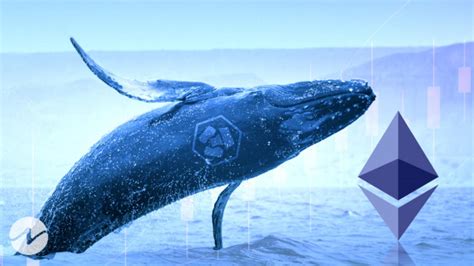 Ethereum Whales Activity Signals Potential Price Correction